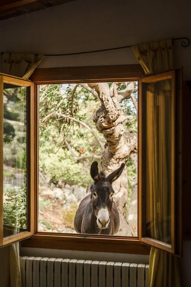 Casa Tramuntana Villa Valldemossa  Ruang foto