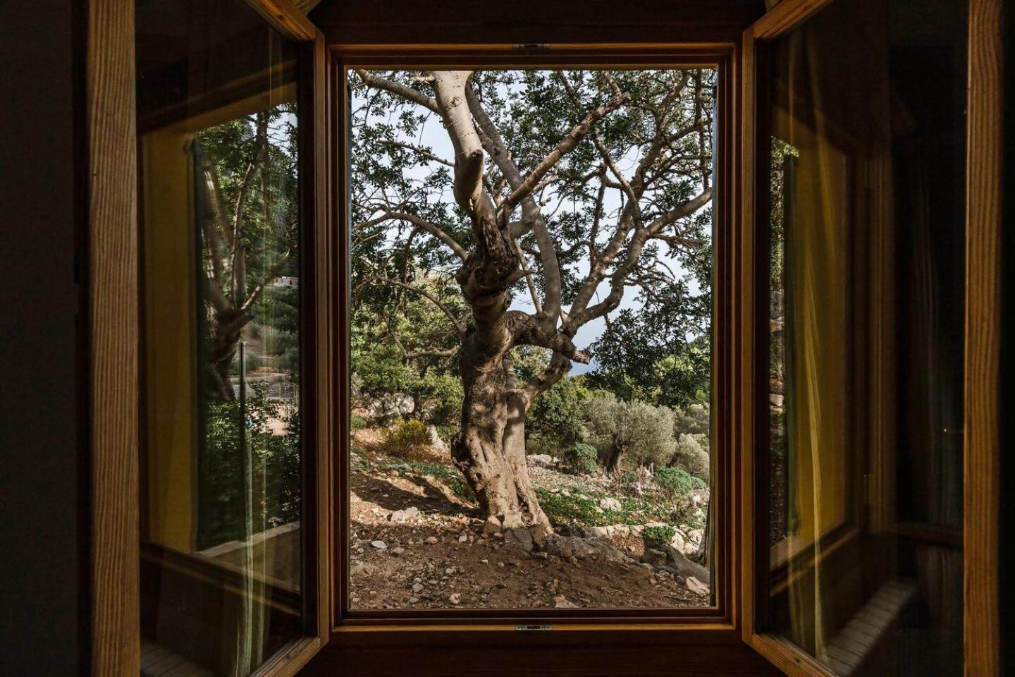 Casa Tramuntana Villa Valldemossa  Ruang foto